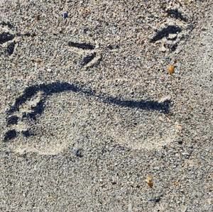 Meet your Posher, Laurie